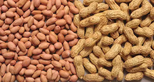 Cooking with Excellence: Elevate Your Dishes with Groundnut Oil