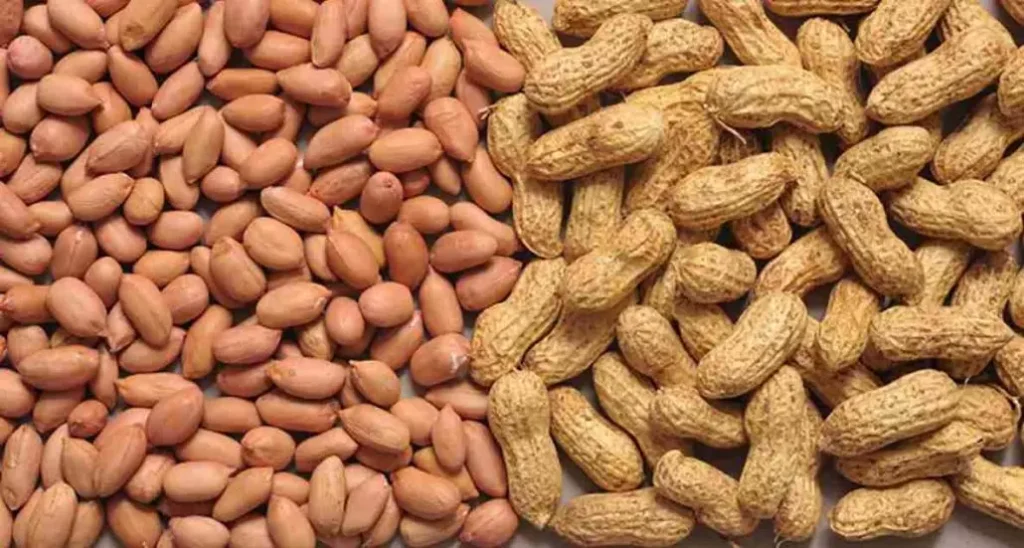 Groundnut or peanut Cooking Oil